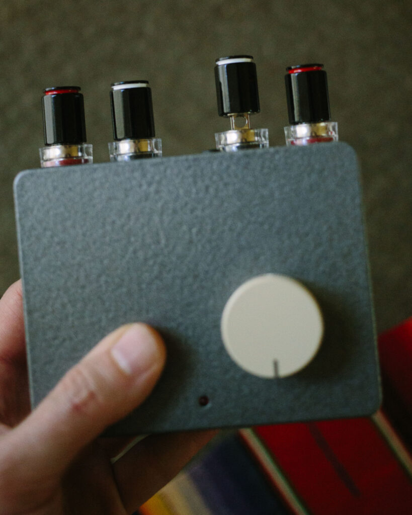 A larger enclosure was used to customize this old T-Amp